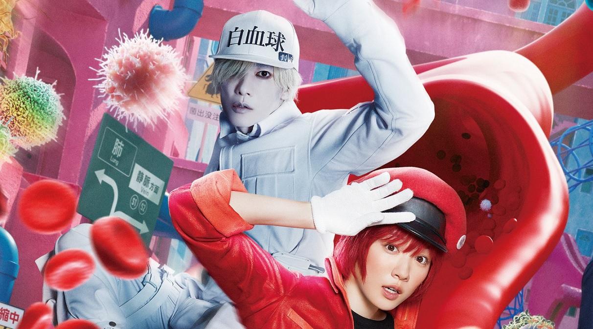 Khi Tế Bào Làm Việc (Live Action)-Cells At Work